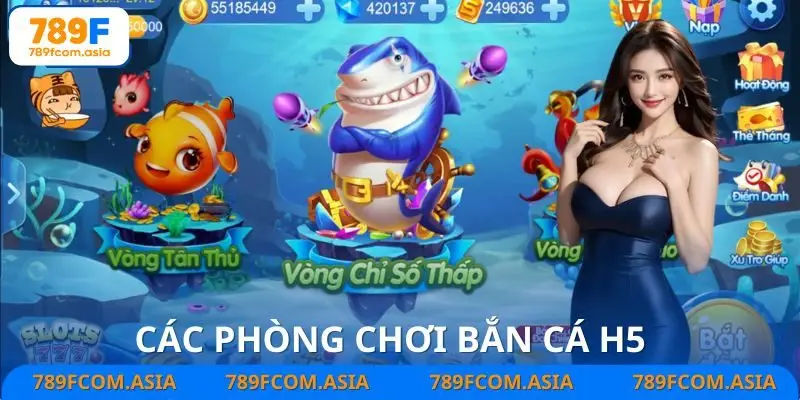 Các phòng bắn cá H5 nổi bật
